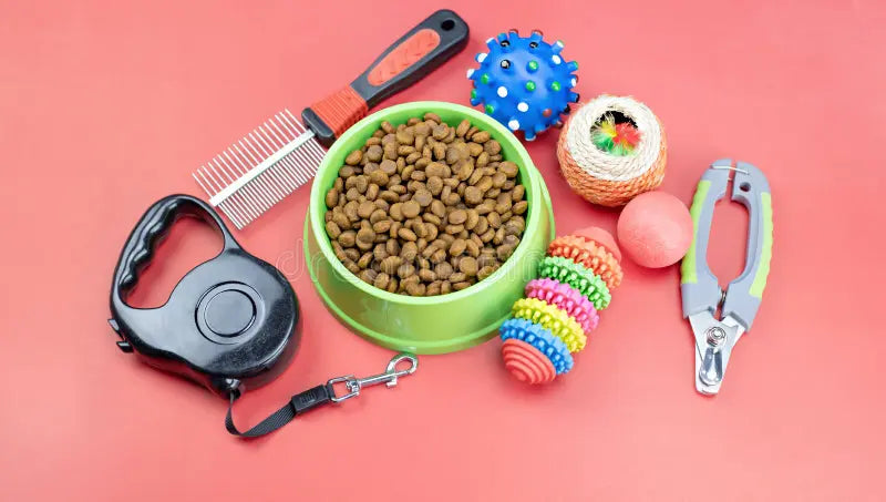 Best Pet Accessories Every Owner Should Have
