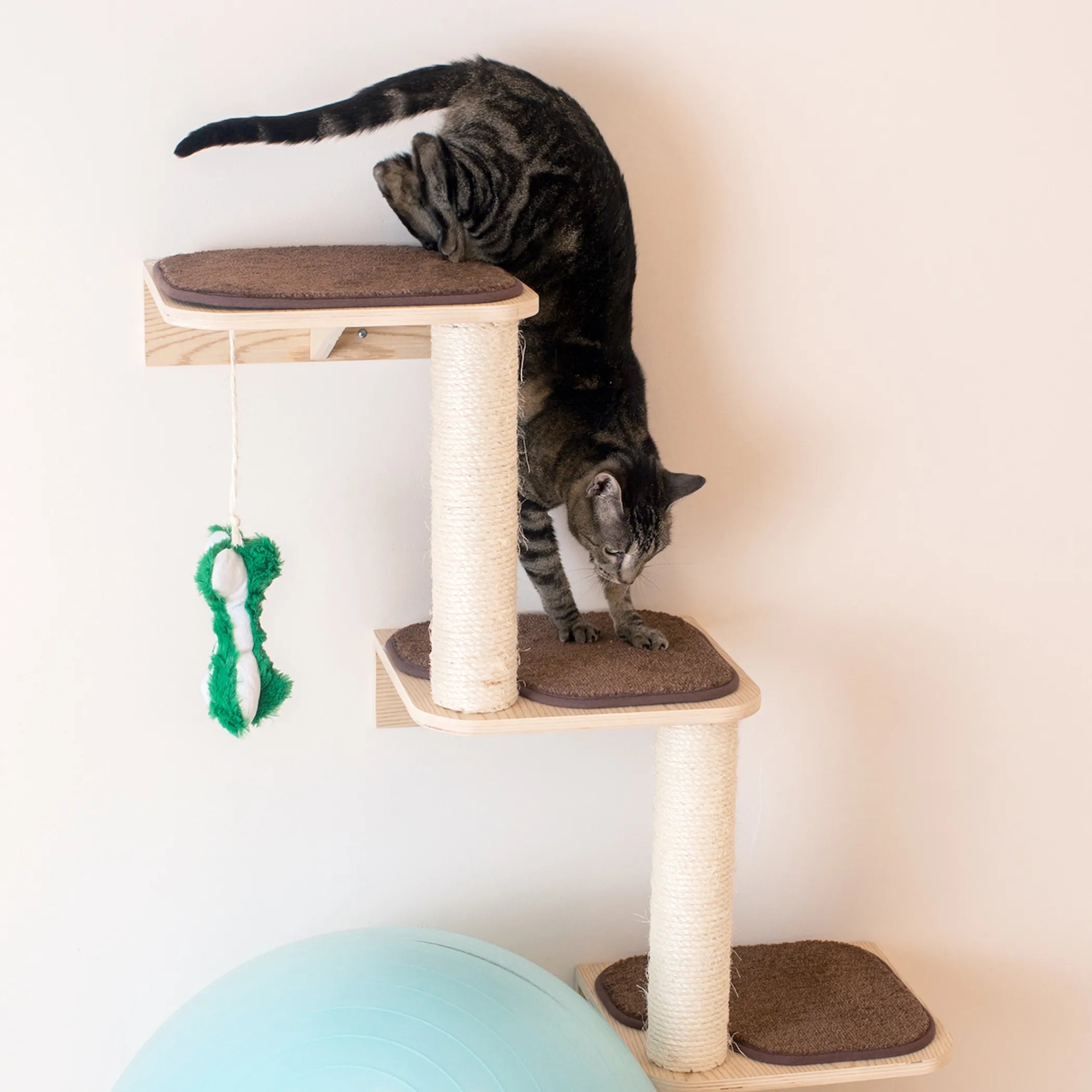 Armarkat Wall Series Cat Steps W1907C — Space-Saving Wall-Mounted Cat Climber